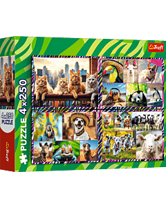 Puzzle 4 x 250 el. Zabawne zwierzaki