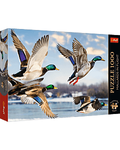 Puzzle Premium Plus Quality 1000 el. Mallards in Flight - opakowanie
