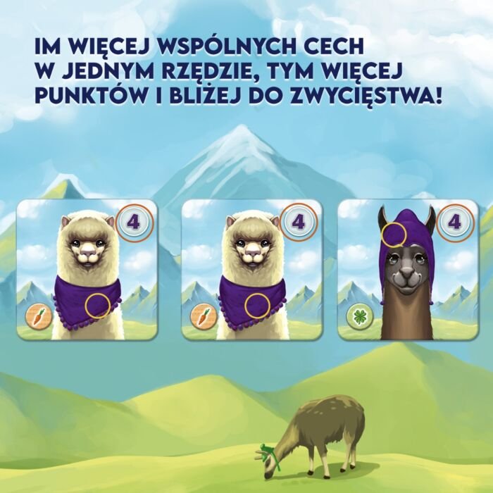 Gra rodzinna  Lamy i Alpaki - infografika nr 4