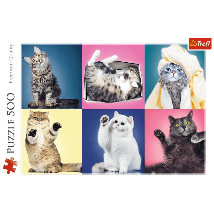 Kociaki - puzzle 500 elementów od Trefl