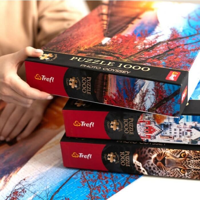 Puzzle Premium Plus Quality 1000 el. Photo Odyssey: Most Rakotza w