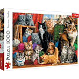 Puzzle 1000 Trefl Kocie spotkanie 