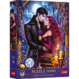 Puzzle Premium Plus Quality Tales After Dark 1000 el. Gotycka miłość - opakowanie 