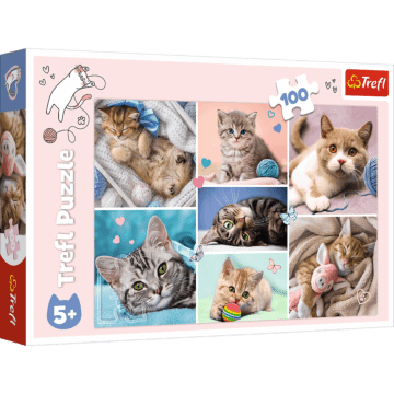 Puzzle 100 koty Trefl