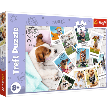 Puzzle 300 elementów Trefl Dla dzieci 