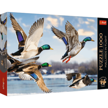 Puzzle Premium Plus Quality 1000 el. Mallards in Flight