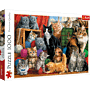 Puzzle 1000 Trefl Kocie spotkanie  thumbnail