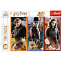 W świecie magii i czarów Harry Potter puzzle Trefl zdjęcie 2 thumbnail