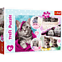 Urocze kotki - puzzle 160 od Trefl thumbnail