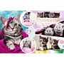 Urocze kotki - puzzle 160 od Trefl thumbnail