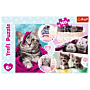 Urocze kotki - puzzle 160 od Trefl thumbnail