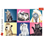 Kociaki - puzzle 500 elementów od Trefl thumbnail