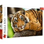 Portret tygrysa Puzzle 500 Trefl zdjęcie 1 thumbnail