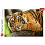 Portret tygrysa Puzzle 500 Trefl zdjęcie 3 thumbnail