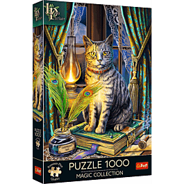 Puzzle Premium Plus Quality 1000 el. Magic Collection: Księga Cieni | Trefl