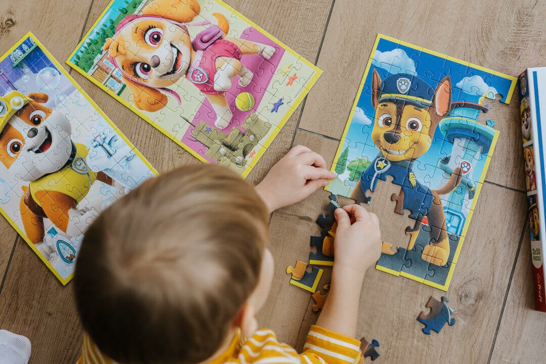 Poznaj imiona bohaterów z bajki Psi Patrol (Paw Patrol)