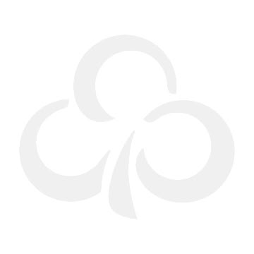 Angielski dla przedszkolaka/Mały Odkrywca